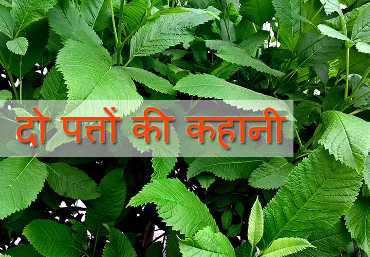 हिंदी कविता – दो पत्तों की कहानी