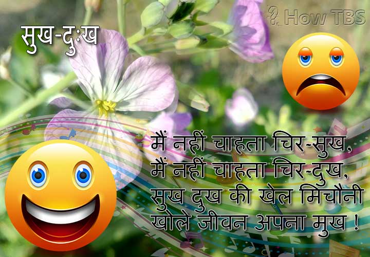 हिंदी कविता – सुख-दुःख