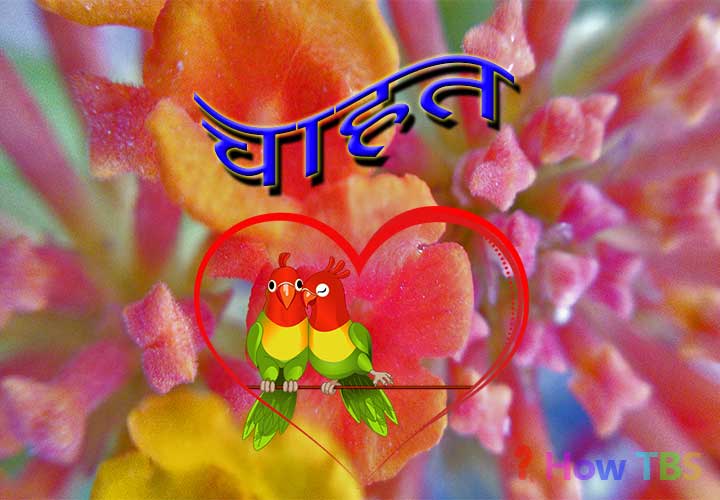हिंदी कविता – चाहत