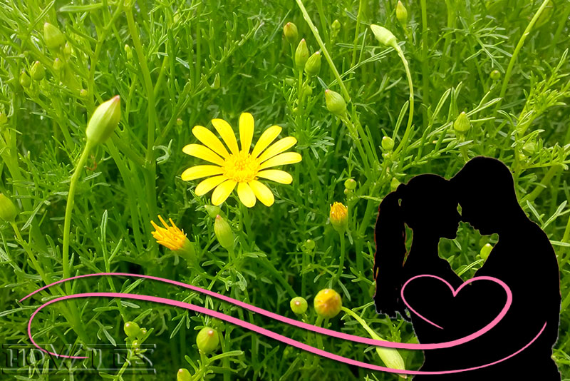Dating Tips: Romance of First Date