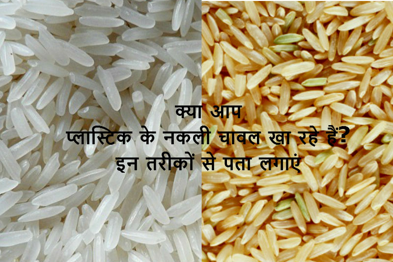 क्या आप प्लास्टिक के नकली चावल खा रहे हैं? इन पांच तरीकों से पता लगाएं