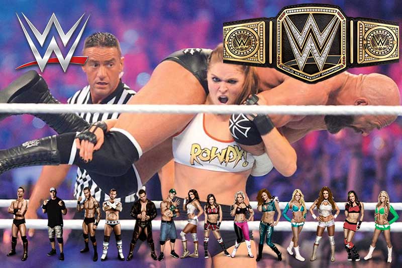 WWE – World Wrestling Entertainment: The Perfect Entertainer